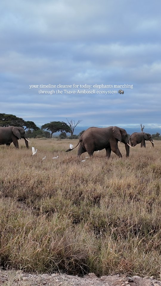 Brings me to tears everytime! 🥹