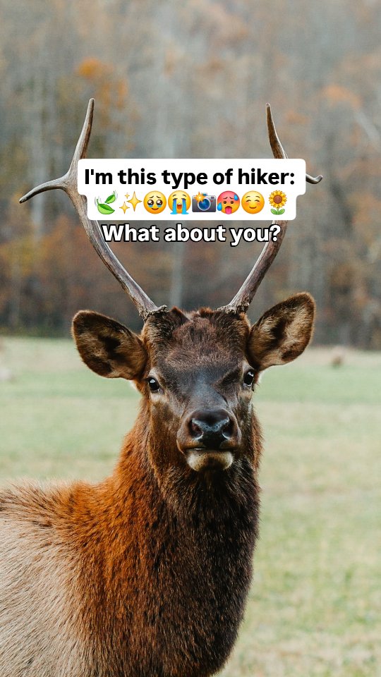 What team are you on?