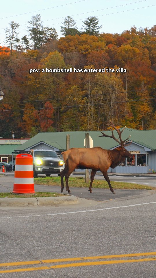 Make way... seriously!