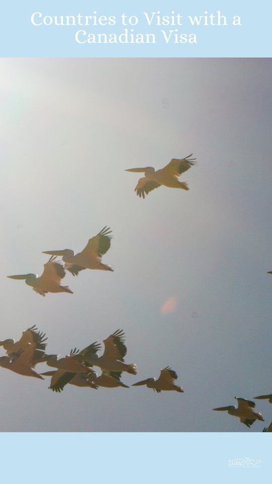 🇳🇬🇨🇦 Countries (and territories) you can visit with a Canadian tourist visa or PR + a Nigerian passport. 🛂

📚 On travelwithapen.com, I have included the references to each country's official immigration websites. Comment "Link" and I'll send this directly to your DM.

‼️The info here could be limited and could change at any time without prior notice. ⚠️ I encourage you to do your own research and verify from proper channels before planning your travels to any of these places.

I also encourage you to share your personal experiences visiting any of the countries listed (and those not listed) to enrich the conversation. 📝💭