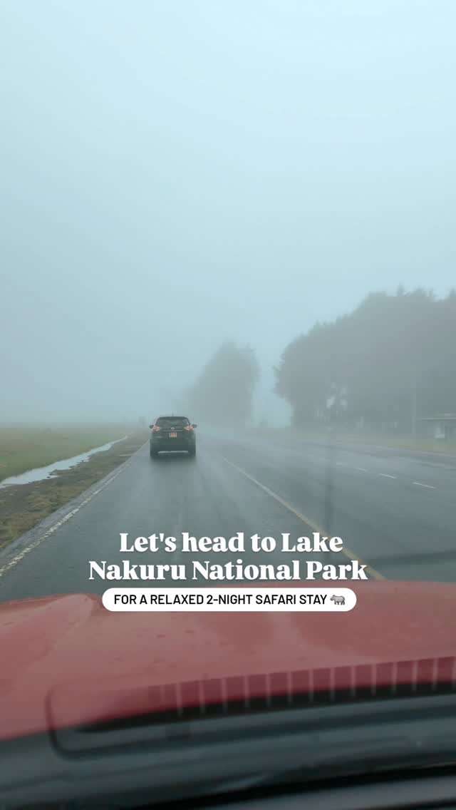 Snippets from a lovely little getaway to Lake Nakuru National Park in Kenya 🇰🇪