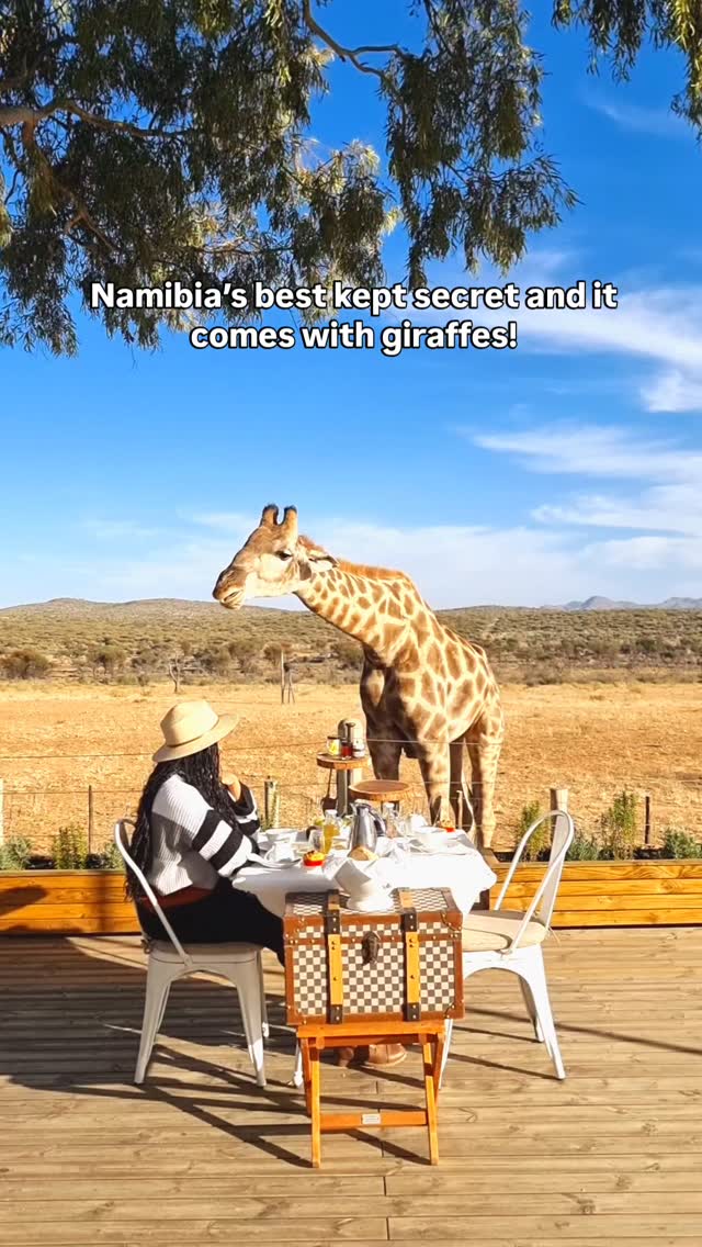 If this isn’t on your list yet, save it now 📌 share it with your travel buddy ✈️ and follow for more hidden stays around Africa and beyond 🌍

This js Namibia’s best kept secret and it comes with giraffes 🦒

Voigtland Guesthouse is one of those places that feels unreal until you’re actually there. Giraffes wandering up as you enjoy breakfast ☕ quiet gardens 🌿 beautiful rooms 🛏️ and some of the warmest hospitality in Namibia.

It’s the perfect base to start or end a Namibia trip 🚗 and it costs far less than similar stays around the world. If you want comfort, calm, and a little bit of magic ✨ this is the spot.

Would you stay here?