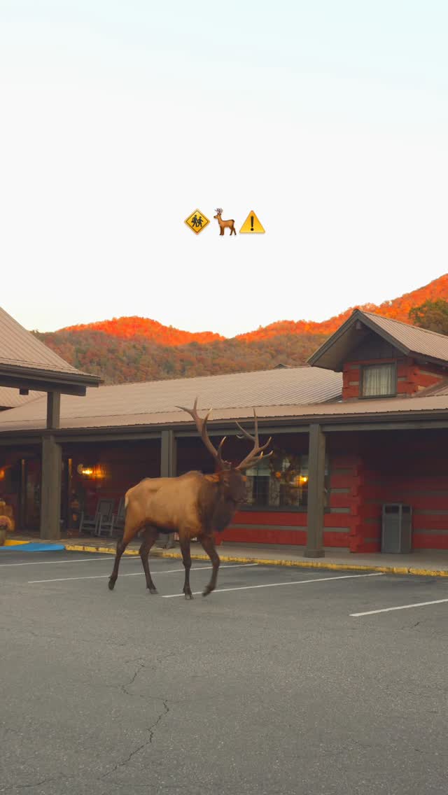 Nothing to see here. Just another day in Cherokee 🇺🇲