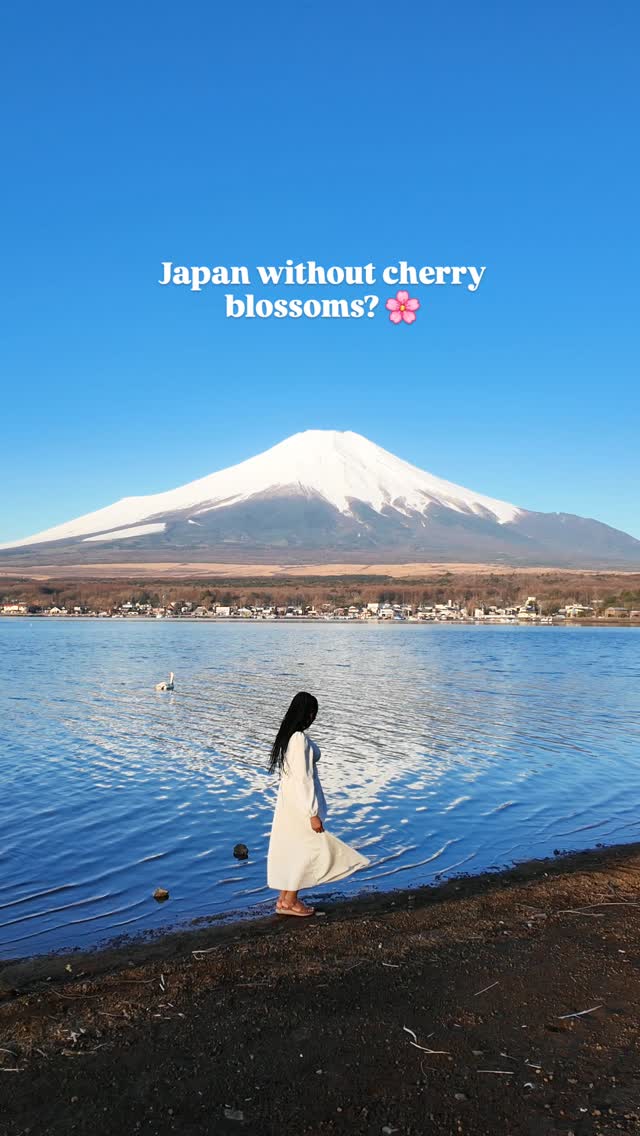 Japan stays gorgeous beyond sakura season 🌸. Whether you're lucky enough to catch the bloom or not, this stunning country will captivate you!

#JapanAdventure #JapanTrip #TravelInspiration